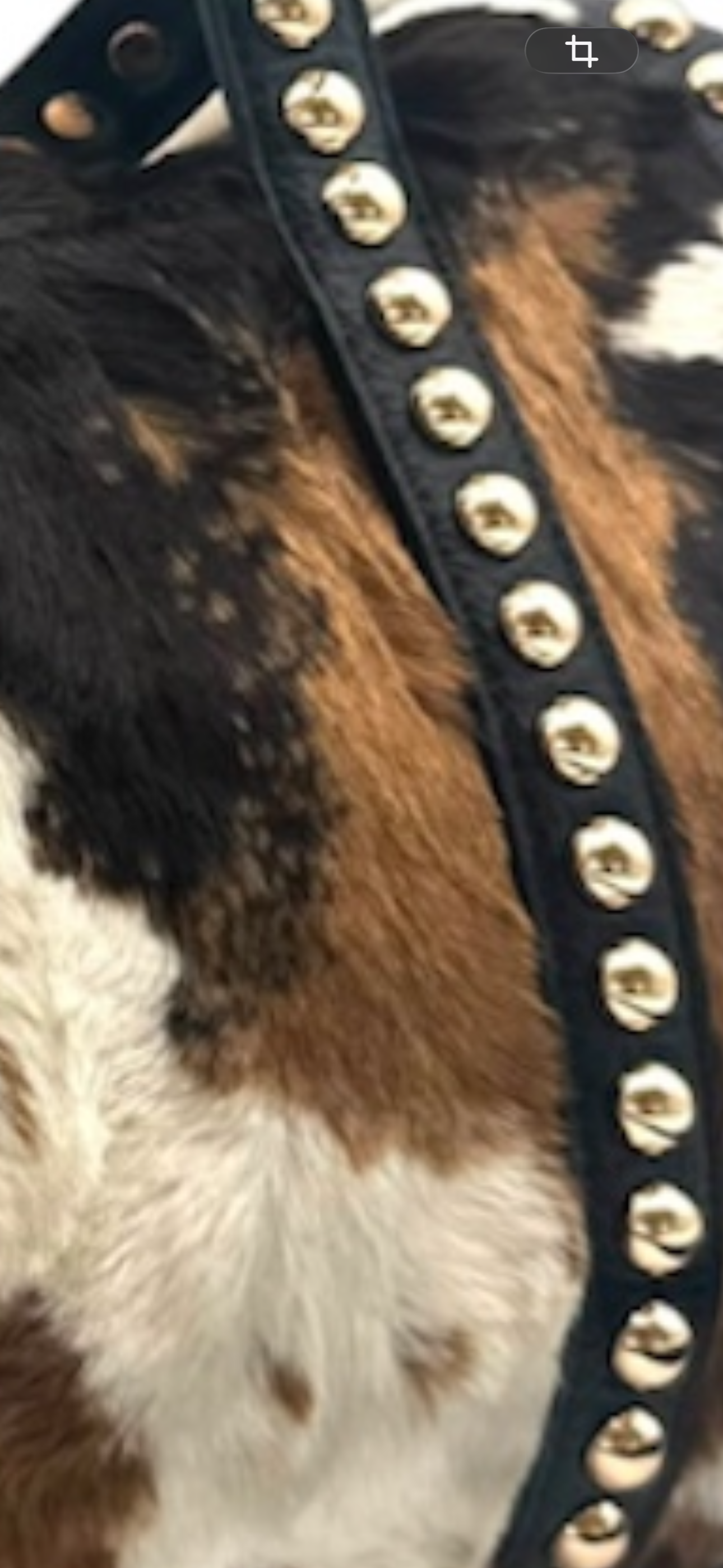 BAULETTO FANTASIA E BORCHIE
